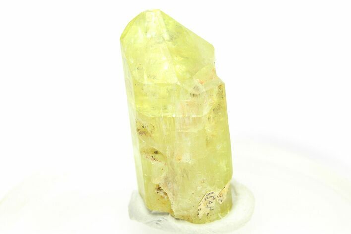 Gemmy Yellow-Green Apatite Crystal - Morocco #276542